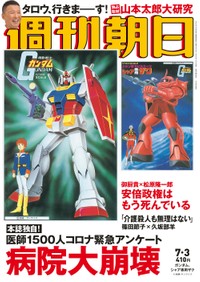 シャア大好き女優 富田靖子さんデザインのガンプラに再び熱視線 高すぎるクオリティーにファンひれ伏す まいどなニュース