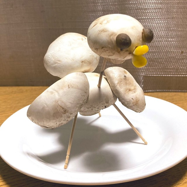 お盆にナスとキュウリがない ジャンボマッシュルームで作った 精霊アヒル に母爆笑 まいどなニュース