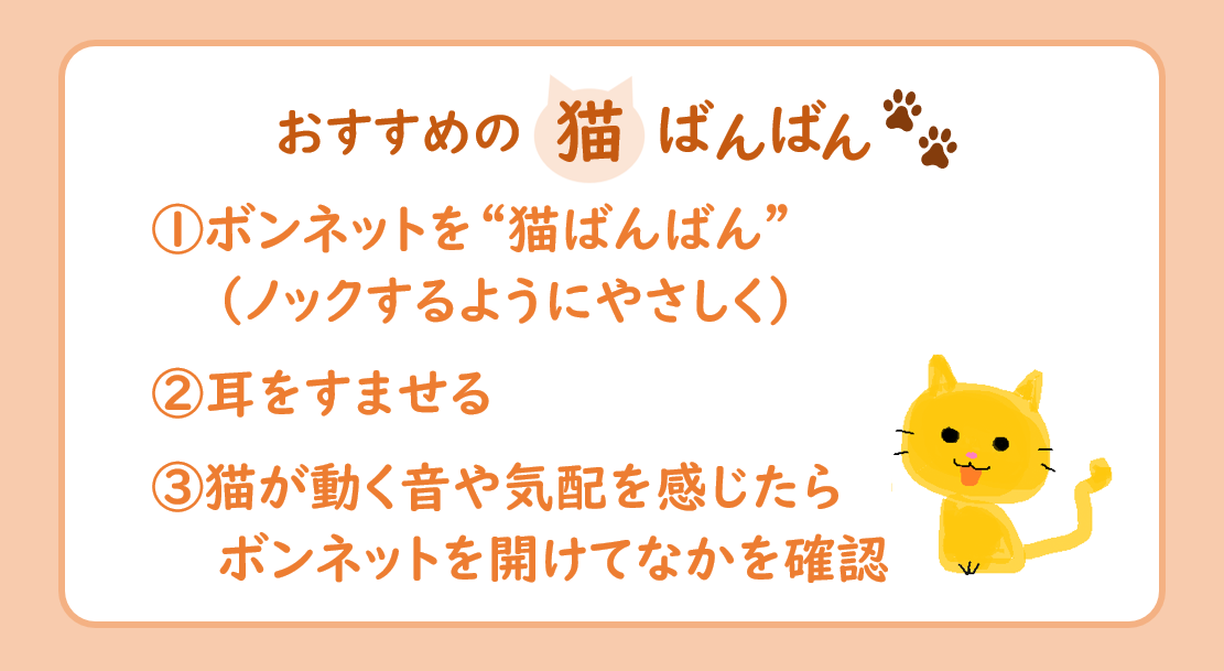 猫がクルマに入り込んでしまったトラブル 1カ月で21件 そのうち11件はエンジン始動後に発覚 Jafが公表 まいどなニュース