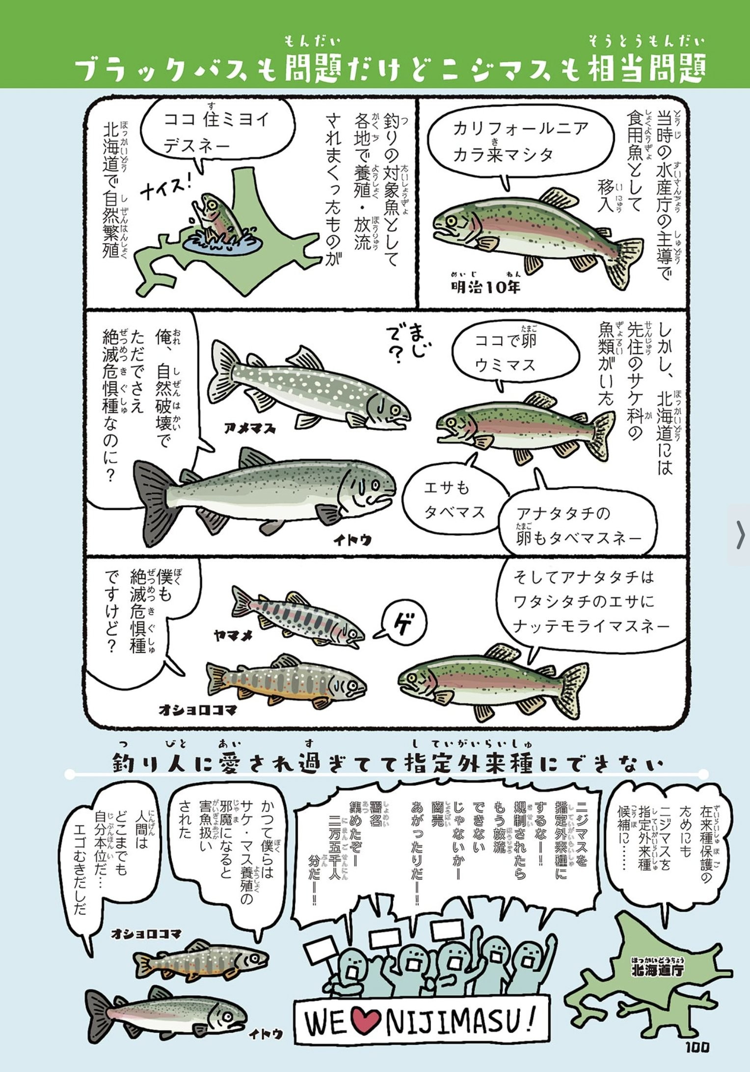 小学生のニジマス放流体験報じる記事に違和感 外来種であることを大人は教育すべき 明治初期に米から移入された歴史 まいどなニュース
