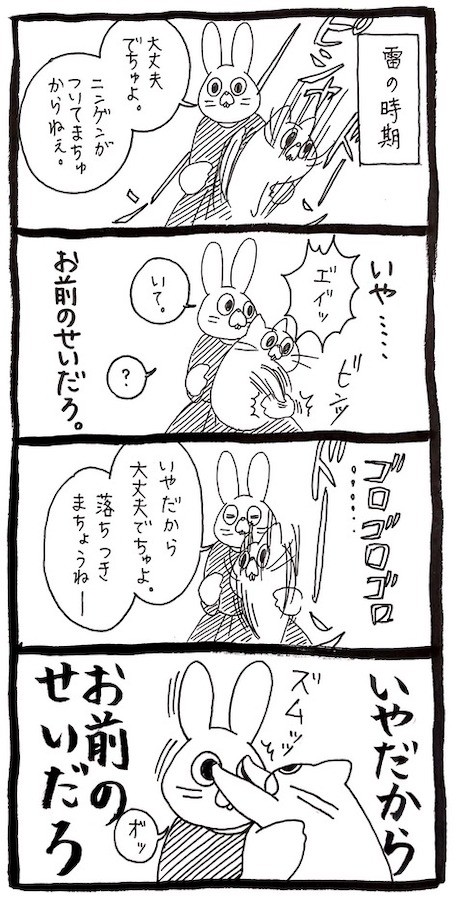 漫画 地震で驚いた猫を揺すると落ち着く を実践 貴様のせいか 飼い主にブチ切れる猫が話題 理不尽 泣 まいどなニュース