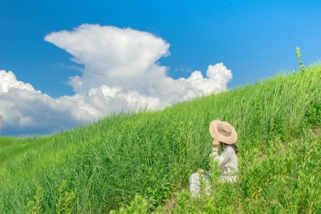 君の名は みたい 海辺の町で撮影した写真が 有名アニメの風景に似ていると話題 圧巻の青春風景 まいどなニュース 君の名は みたい 海辺の町で撮影した写真が 有名アニメの風景に似ていると話題 圧巻の青春風景 まいどなニュース