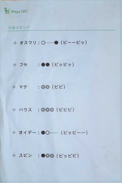 耳に障害を持つフレンチブルドッグのしつけ あるトレーニングで克服 まいどなニュース