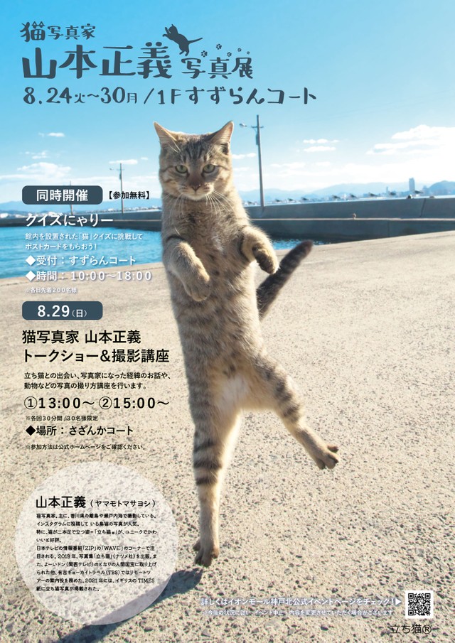２本足で立つ可愛い 立ち猫 が勢ぞろい ユニーク視点で撮影する写真家の展覧会 まいどなニュース