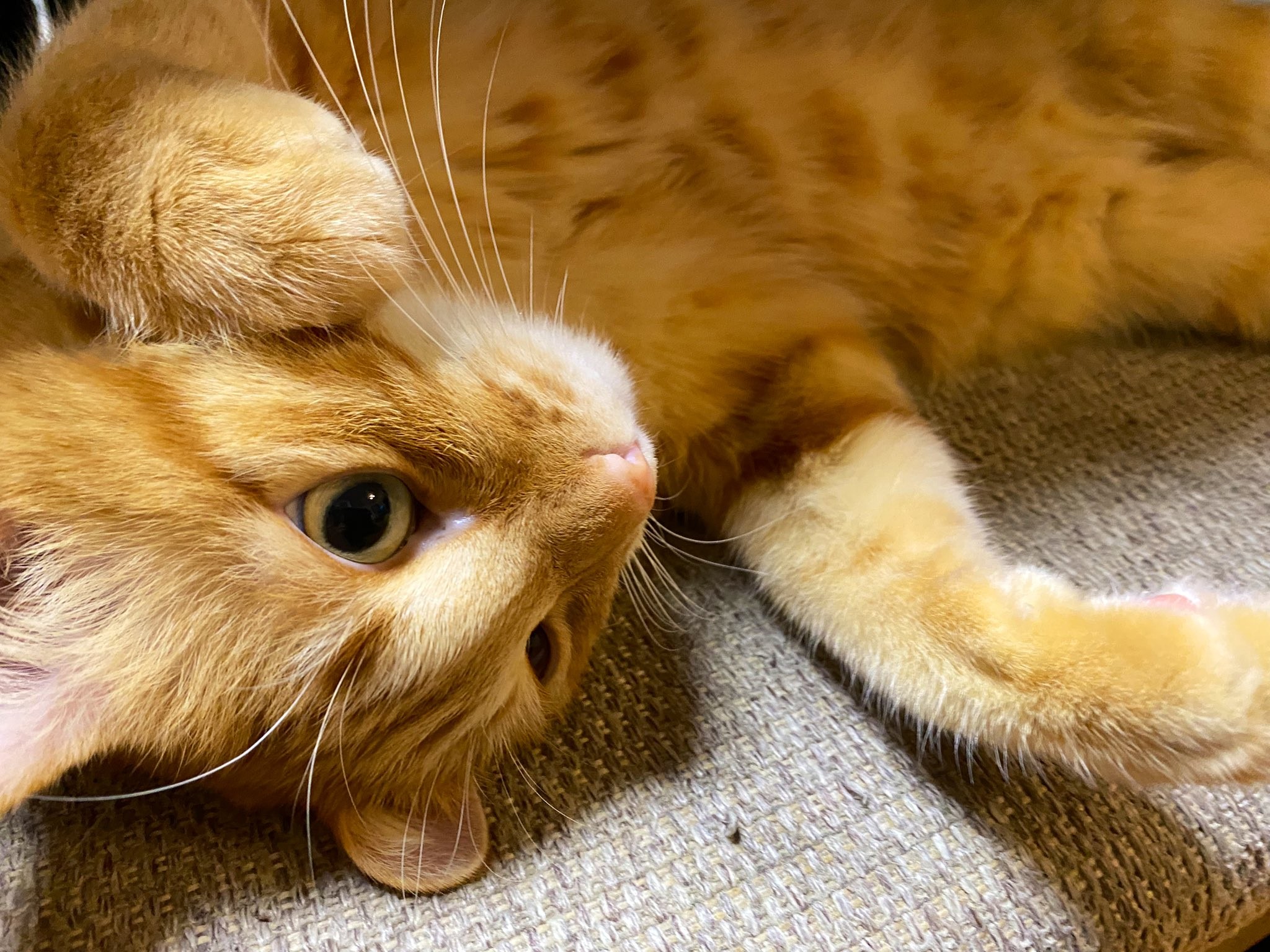 Ajeyog639p4rhm Ajeyog639p4rhm