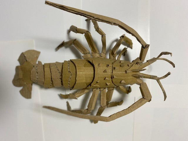 段ボールの廃材で作った伊勢海老ちゃん見て 152箇所が動くリアルな姿に 間違えて茹でそうやｗ まいどなニュース