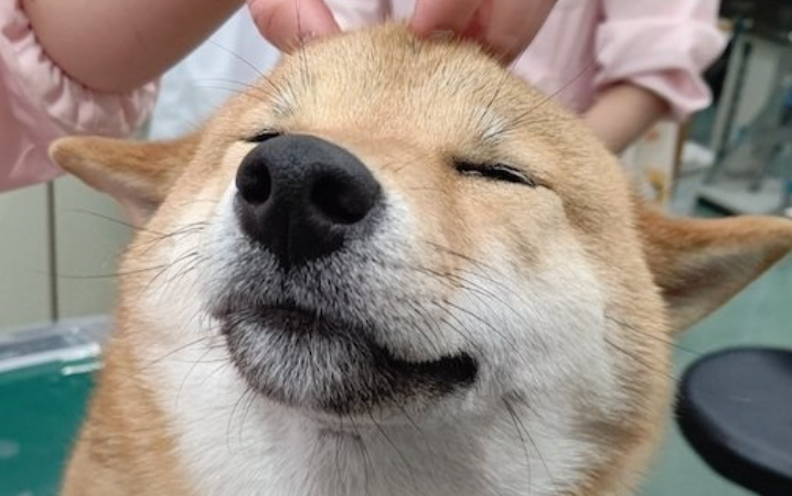 はやかわ かなの記事一覧 まいどなニュース はやかわ かなの記事一覧 まいどなニュース