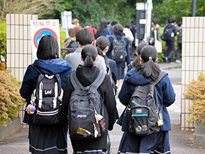 写真・図版