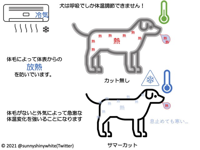涼そうに見えるのは人間のエゴ サマーカットが犬にとって有害になり得るという指摘が話題に まいどなニュース 涼そうに見えるのは人間のエゴ サマーカットが犬にとって有害になり得るという指摘が話題に まいどなニュース