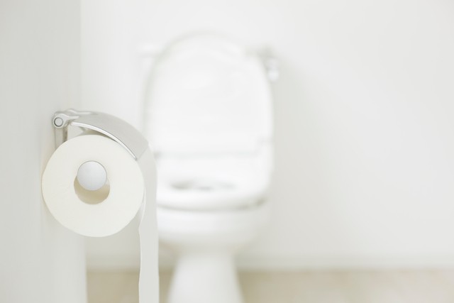 トイレ　腸活イメージ