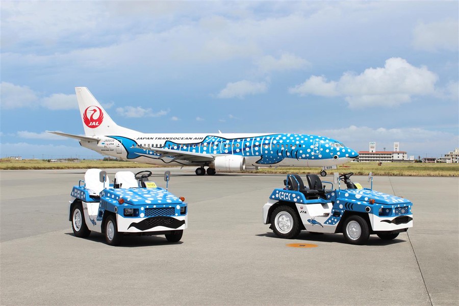 沖縄のジンベエジェットに子供ができた かわいい 実物見てみたい と話題 航空会社にも聞いた まいどなニュース 沖縄のジンベエジェットに子供ができた かわいい 実物見てみたい と話題 航空会社にも聞いた まいどなニュース