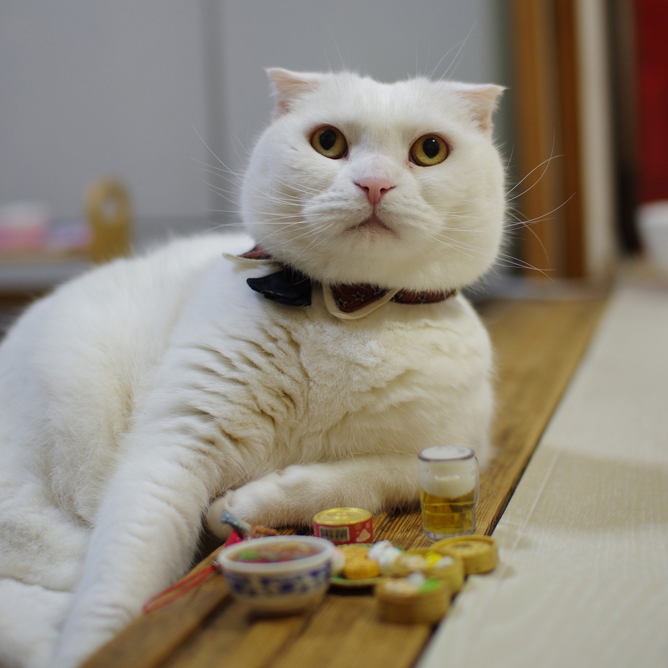 なにこれ可愛い 猫の 顔ハメ あなたも作ってみませんか お家時間を一緒に楽しく過ごすアイデア まいどなニュース