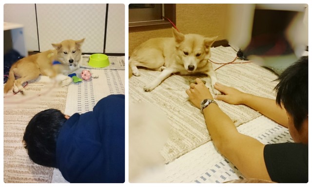 溝渕家の男性陣は元気君と接点を持つとき、恐怖心を軽減できるよう距離感や体勢に気を付けていた