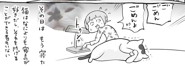 漫画 寝ている猫さまの横で灯りをつけたら 眩しくて ギュムッ ご ごめん に共感の嵐 まいどなニュース