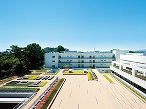 写真・図版