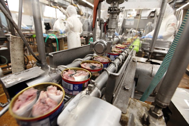 鲭鱼罐头引爆人气 工厂全线生产不间断