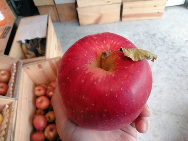 もしこの世からリンゴがなくなったら リンゴ売りとおじいさんの 問答 が 現代のおとぎ話みたい まいどなニュース