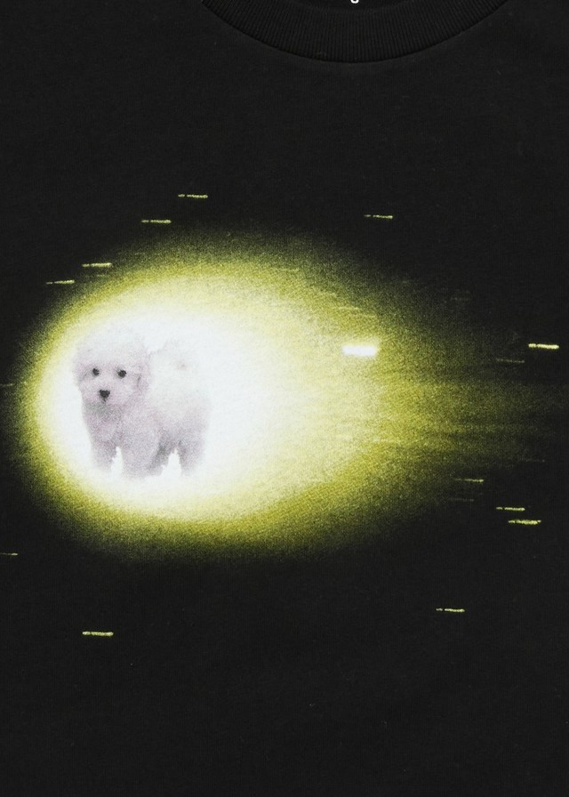 医師 それ 飼ってた犬 死んだの シュールすぎるtシャツに13万いいね デザイナーに誕生秘話を聞いた まいどなニュース