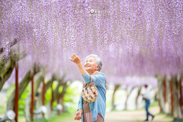 あぁ おばあちゃんに会いたいな 金色の世界で頬よせ合う祖母と柴犬 孫が写す幸せな写真が 泣けてくる まいどなニュース あぁ おばあちゃんに会いたいな 金色の世界で頬よせ合う祖母と柴犬 孫が写す幸せな写真が 泣けてくる まいどなニュース