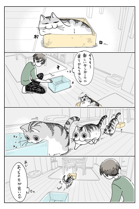 漫画 ボロボロの段ボール箱でとろける猫に悶絶 そろそろ捨てさせてw もう箱じゃない まいどなニュース