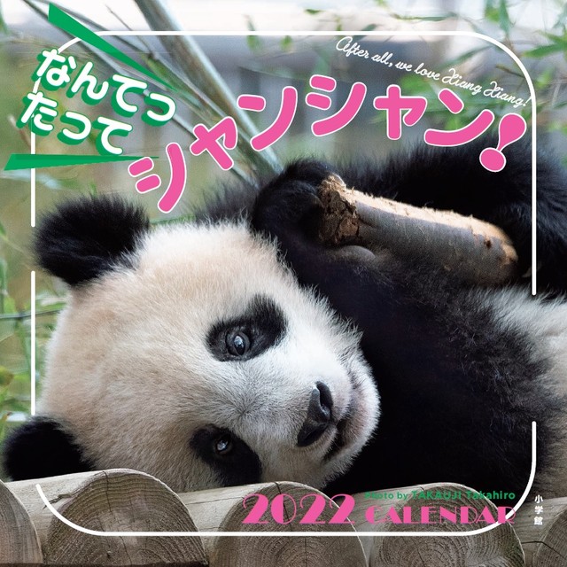 返還期限延期でファン歓喜の上野ジャイアントパンダ シャンシャン新作カレンダーは特別版 よろず ニュース