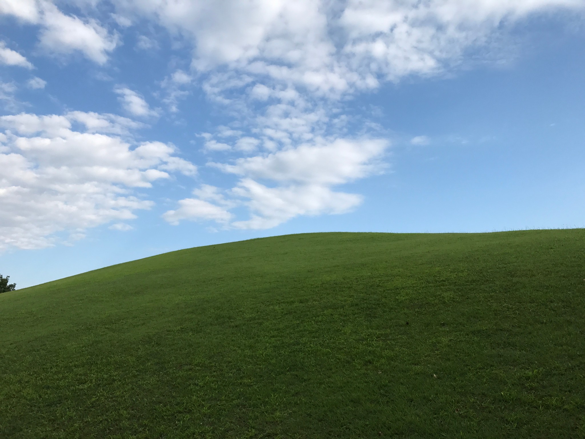 Windows Xpの壁紙そっくり 東京 多摩ニュータウンで撮影された風景