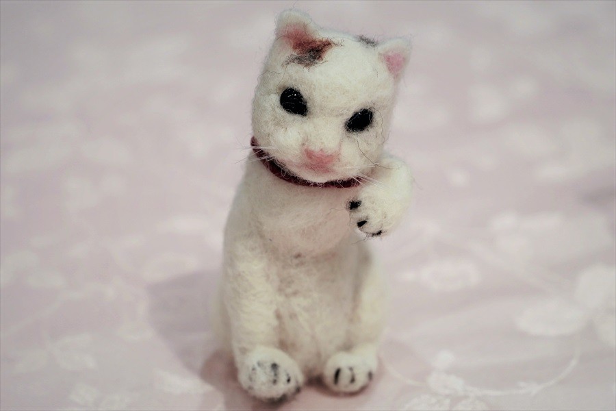 大切なペットの 想い出 残しませんか 羊毛フェルトでつくる 立体似顔絵 に注目 まるで生きているみたい まいどなニュース