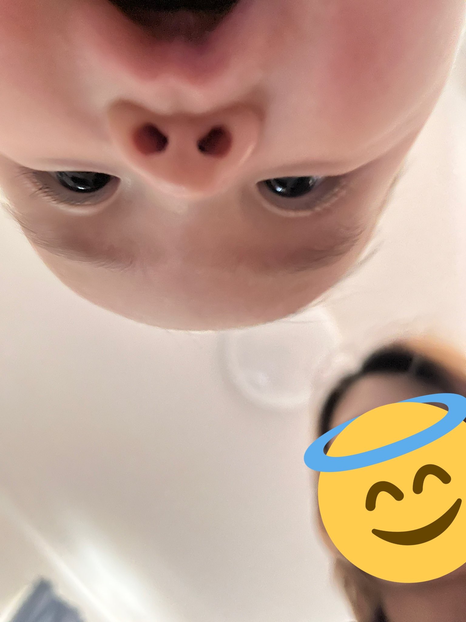 めっちゃ真剣にチラシ見てるわ 赤ちゃんの貫禄ある姿に爆笑 休みの日のオトンみたいw 可愛いけど笑った まいどなニュース めっちゃ真剣にチラシ見てるわ 赤ちゃんの貫禄ある姿に爆笑 休みの日のオトンみたいw 可愛いけど笑った まいどなニュース