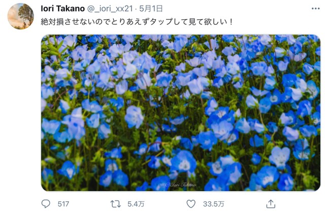 お花畑と思いきや別世界が出現 うわぁぁぁぁぁ綺麗 天国みたい 投稿写真に33万人が絶賛 まいどなニュース