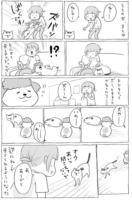 漫画 年老いた犬を呼んだら 猫が来る なぜ 可愛いけど ちょっと切ないのだ まいどなニュース