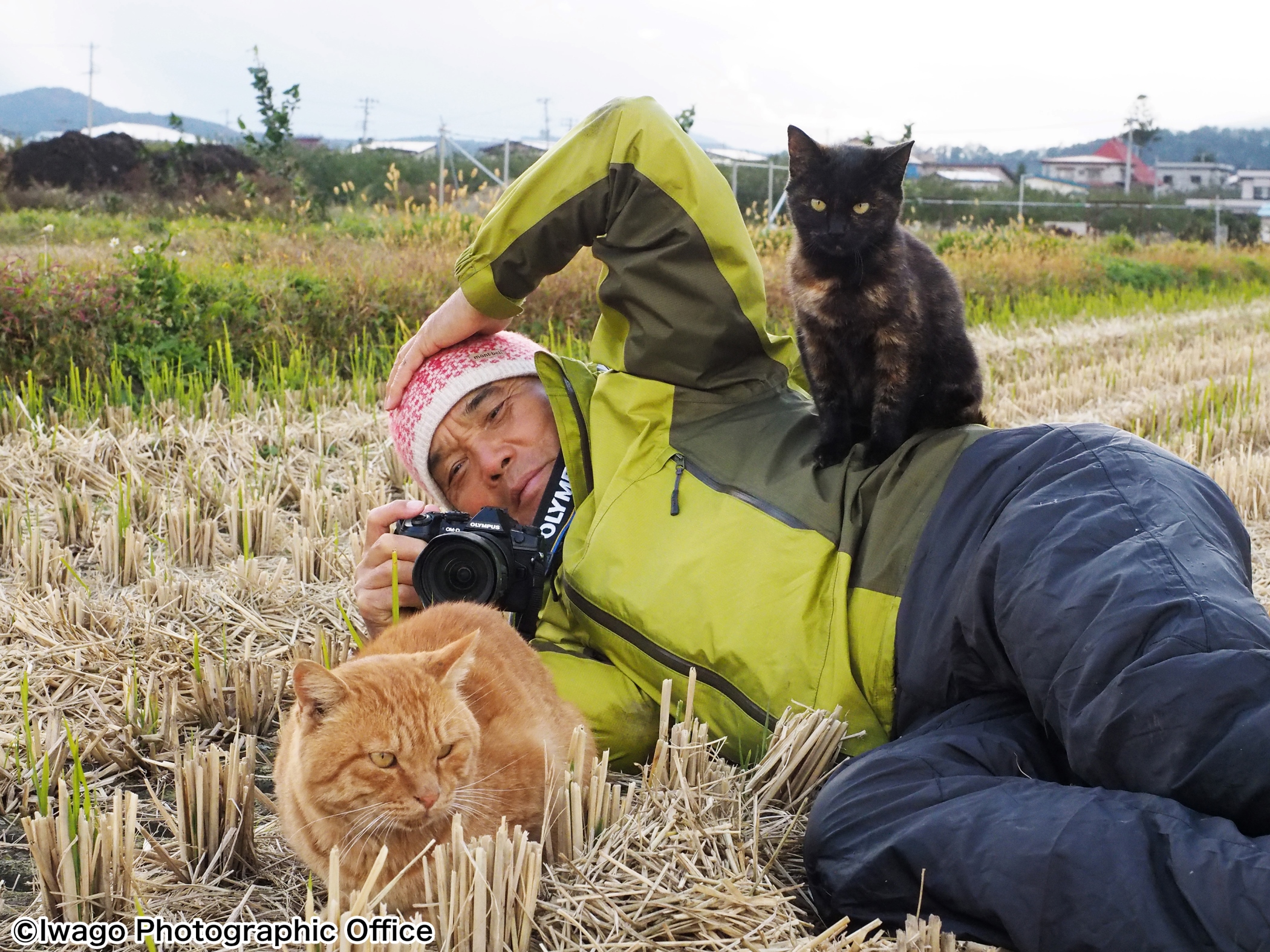 撮影は 猫さま次第 動物写真家 岩合光昭さんが語る猫写真の極意 まいどなニュース 撮影は 猫さま次第 動物写真家 岩合光昭さんが語る猫写真の極意 まいどなニュース