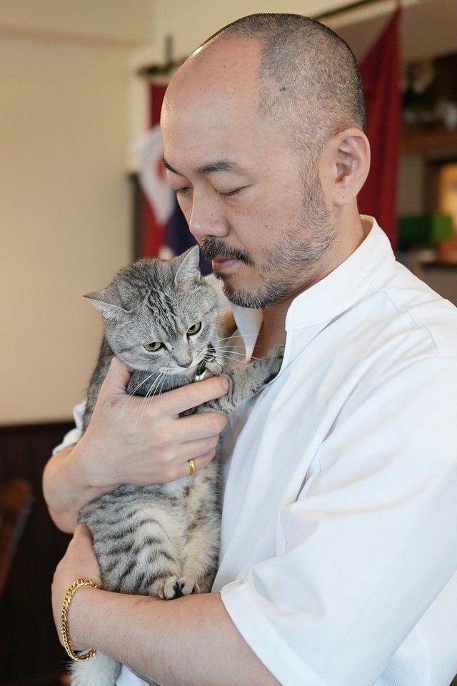 愛猫が失踪して３週間 タロット占いや不思議な出会いに導かれ 奇跡の再会を果たす まいどなニュース