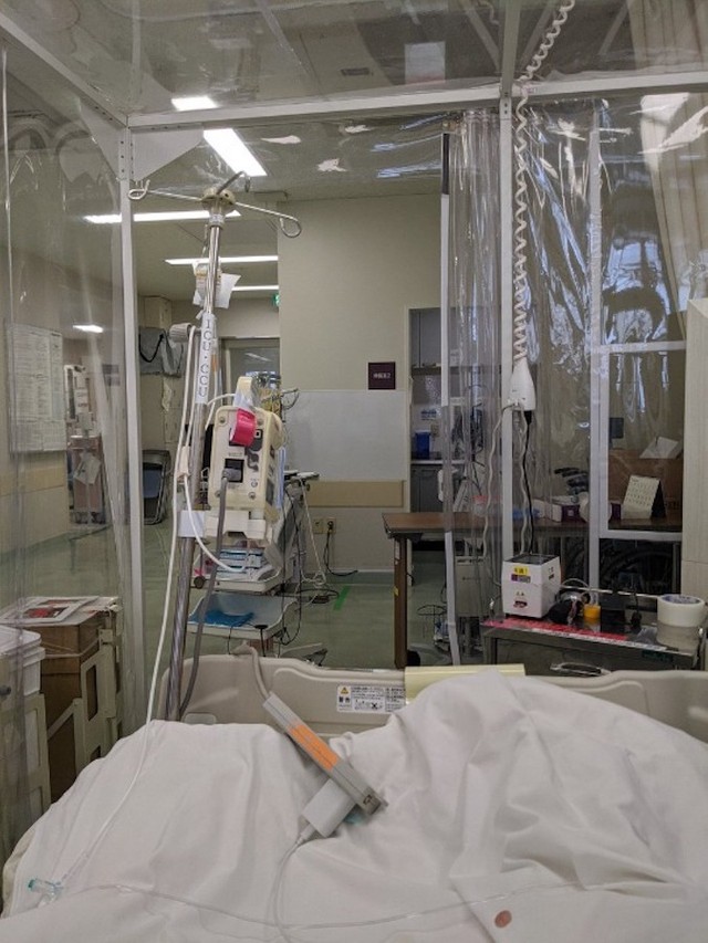 猫に噛まれ 感染症で死にかけた 壮絶な入院ツイートが話題 パスツレラ症 による 敗血性ショック とは まいどなニュース