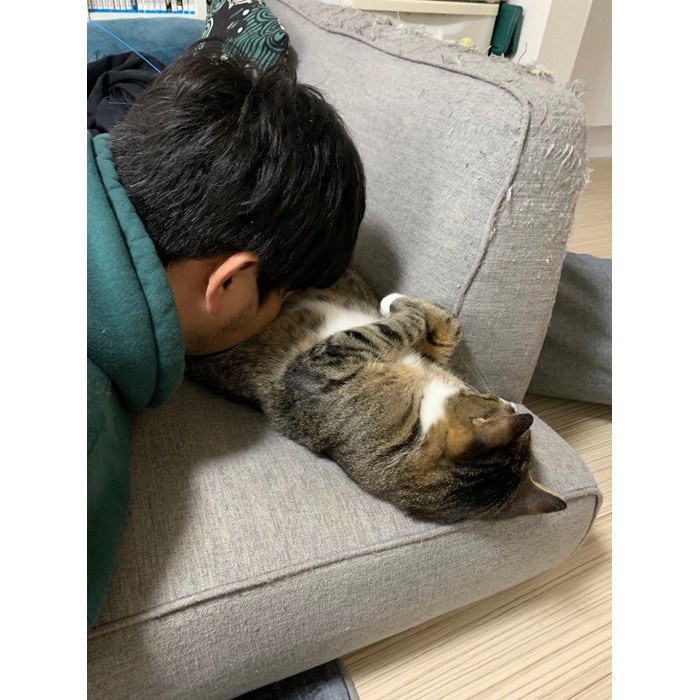 合法ドニャッグ 猫吸い がやめられません もう後戻りできない説に中毒者たちから共感の嵐 まいどなニュース