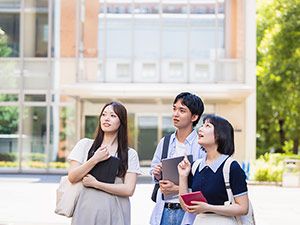 図版・写真