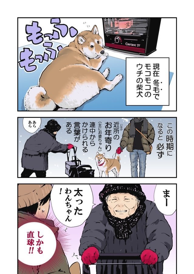 柴犬の飼い主 今月だけでこんなに抜けました 想像以上に抜ける 換毛期地獄 どこにそんな毛が 氷山の一角 まだ抜けます まいどなニュース