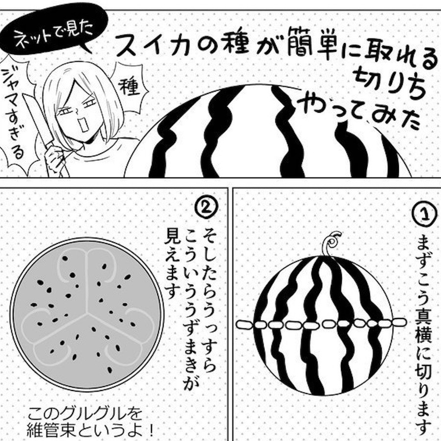 種が簡単に取れる切り方 を試してみたら 不思議な スイカの断面 が話題 何だこのうずまき 愛でます まいどなニュース