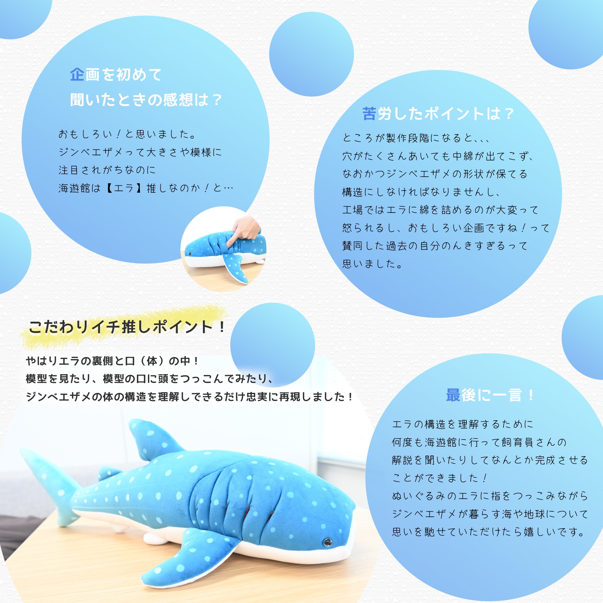 リアルすぎるジンベイザメぬいぐるみに かわいい 教育に良いオタク と賞賛 世界初かもしれない こだわり に驚愕 まいどなニュース
