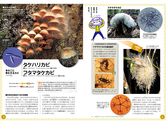嫌われ者じゃない本当の姿を見て 「カビ図鑑」|好書好日