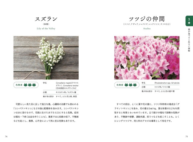 コロナ禍で猫のマスク誤食事故も多発 猫が食べると危ない食品 植物 家の中の物図鑑 が好評 まいどなニュース