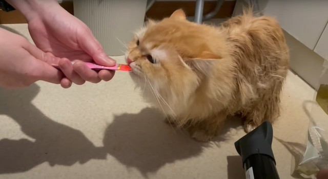 Ur6wwkmedkk1cm Ur6wwkmedkk1cm