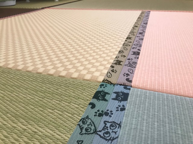 発売した途端 幸運の鍵しっぽ を持つ猫も工場に現れた 猫柄の畳縁 にゃんだ縁 が猫好きの間で話題 まいどなニュース