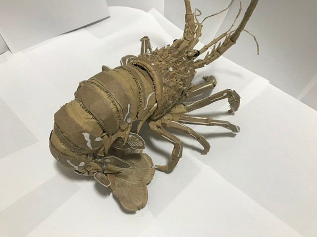 段ボールの廃材で作った伊勢海老ちゃん見て 152箇所が動くリアルな姿に 間違えて茹でそうやｗ まいどなニュース