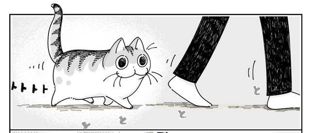 漫画】ドアをこじ開けた猫が、亡霊に！？ 「これは、ビビるw」「うちの 