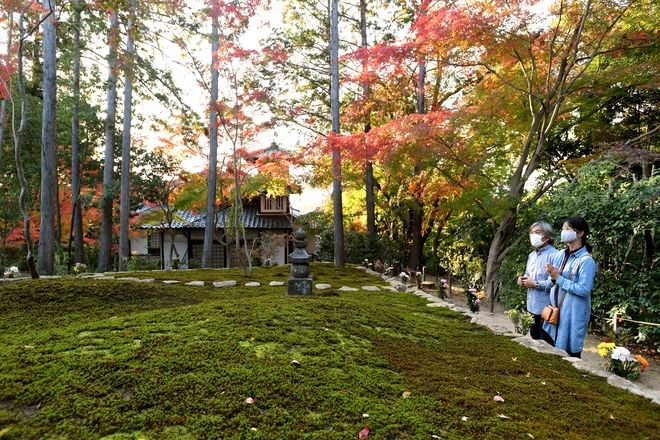 Return to nature: 'Tree burials' at Kyoto temples rise in popularity : The Asahi Shimbun - Vimarsana News