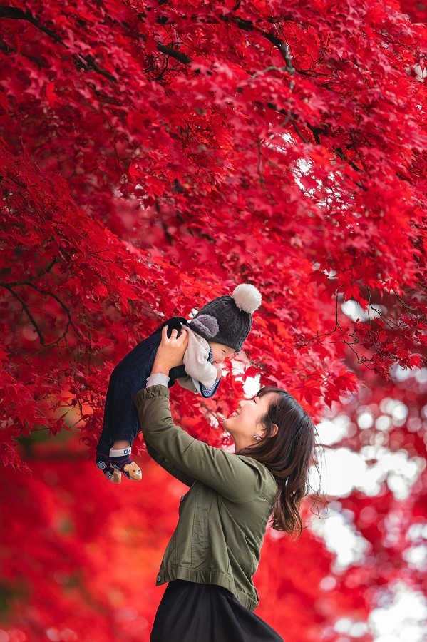 家族愛が生んだ奇跡の写真に すべてが美しい と10万人が感動 撮影者の父親に聞いた まいどなニュース