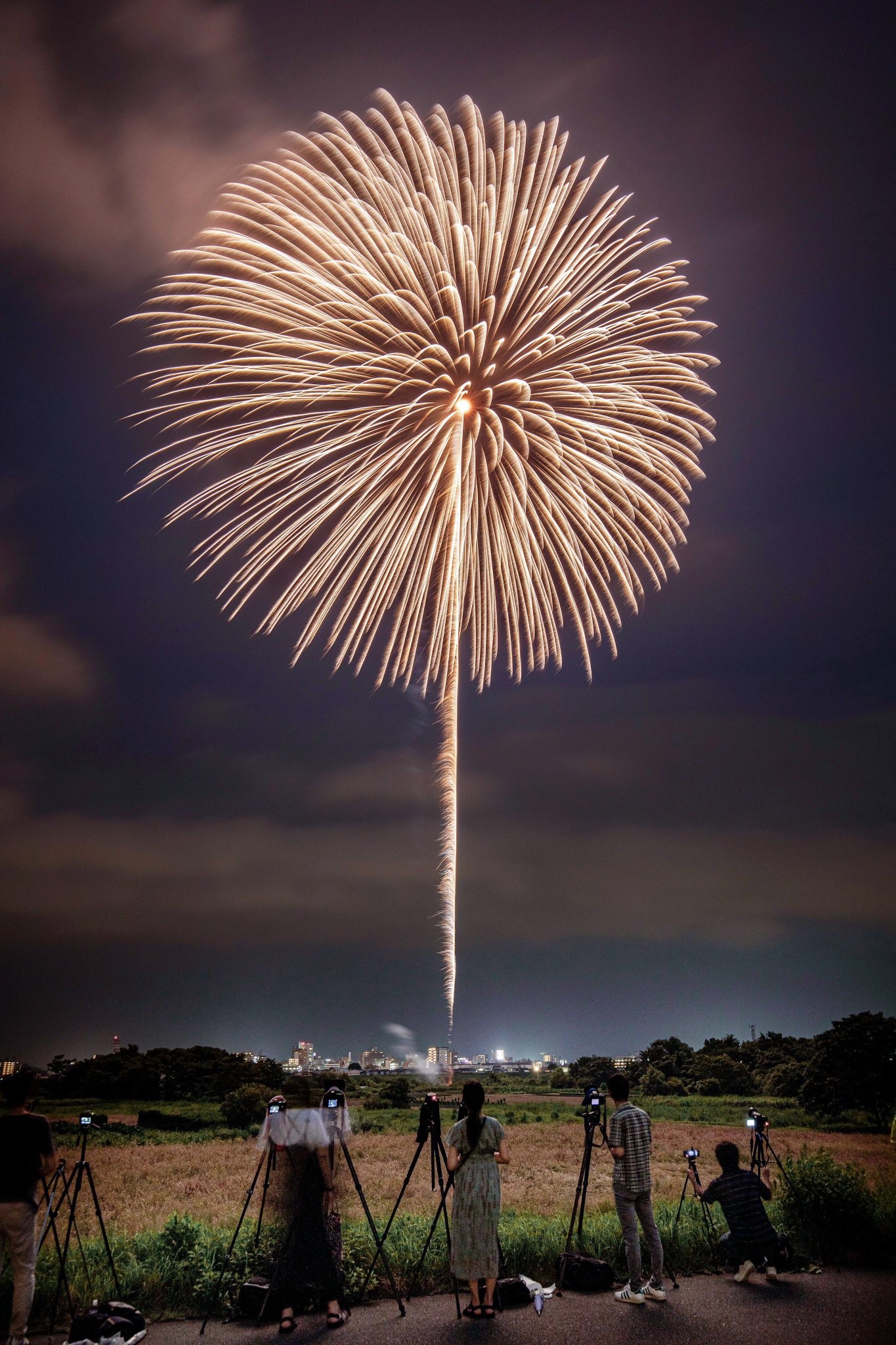 3年ぶりに開催された長岡花火 息をのむ美しさに 圧巻 神の戯れ と絶賛の嵐 まいどなニュース