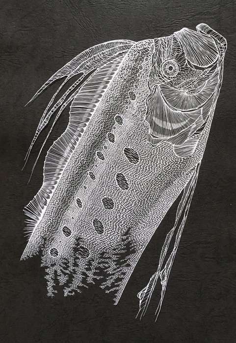 これが紙を切っただけだなんて 立体的な切り絵に驚愕 凄いを超えすぎて怖い 美しい まいどなニュース