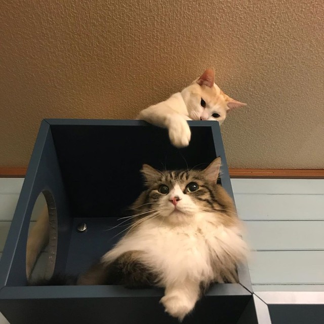 大好きなじゅうくちゃんを「遊ぼうよ」と誘う