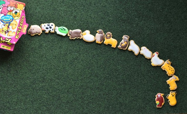 ロングセラーの動物ビスケットをデコったら ぷっくり可愛いクッキーに 悶絶する人続出 作った人に聞いた まいどなニュース